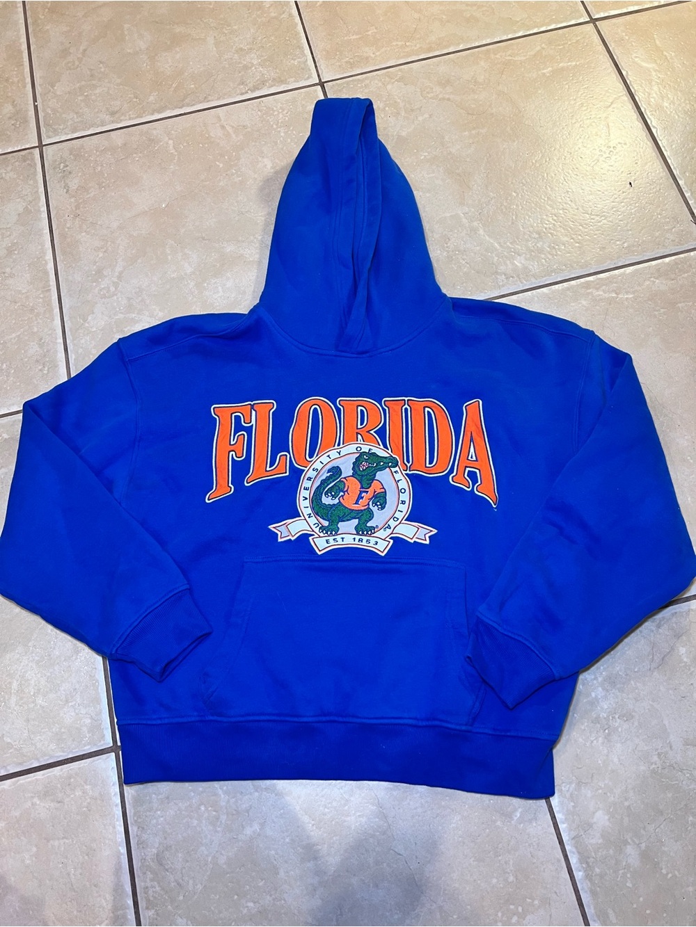 Hollister Royal Blue Florida Gators Logo Graphic Hoodie